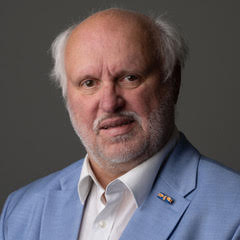 Wim - Senior Consultant